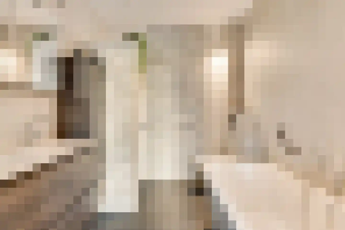 Villa Bethulaweg 14 Linne thumbnail 26