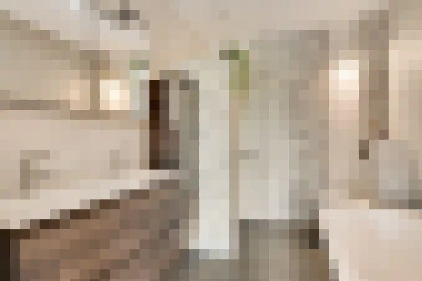 Villa Bethulaweg 14 Linne thumbnail 27