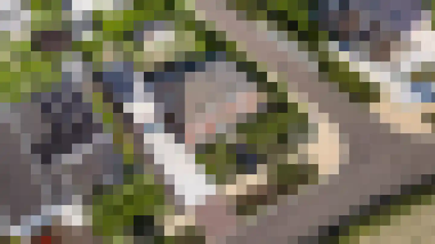Villa Bethulaweg 14 Linne thumbnail 5