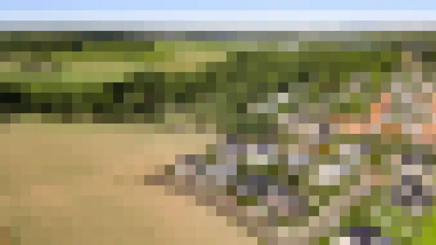 Villa Bethulaweg 14 Linne thumbnail 53