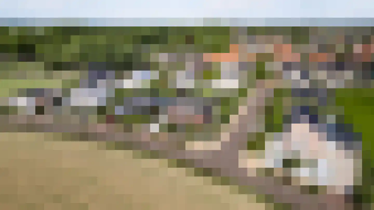Villa Bethulaweg 14 Linne thumbnail 56