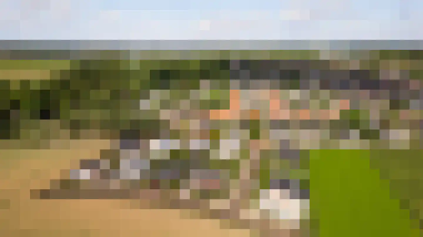 Villa Bethulaweg 14 Linne thumbnail 59