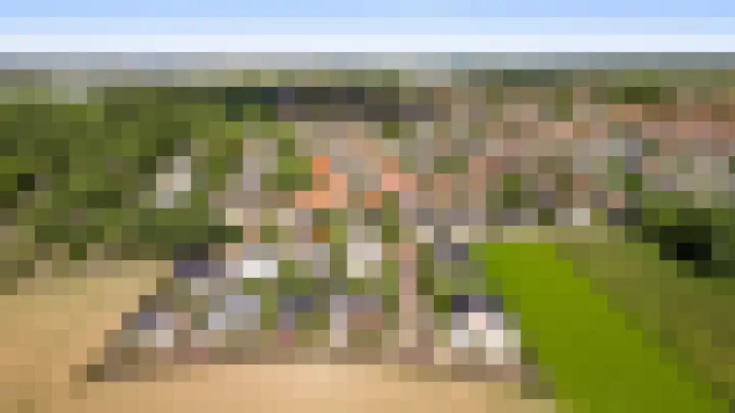 Villa Bethulaweg 14 Linne thumbnail 60