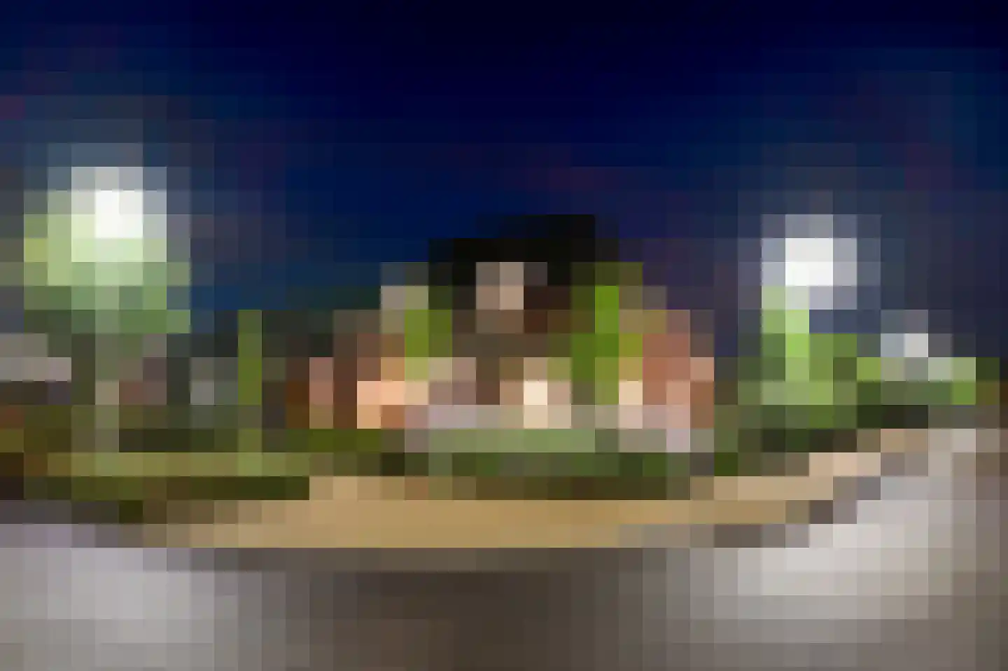 Villa Bethulaweg 14 Linne thumbnail 61