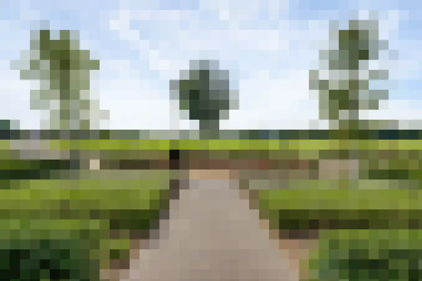 Villa Bethulaweg 14 Linne thumbnail 7