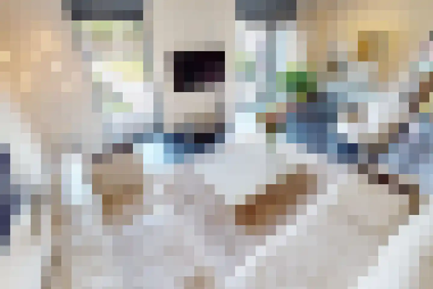 Villa Dotterbloem 19 Waalwijk thumbnail 23