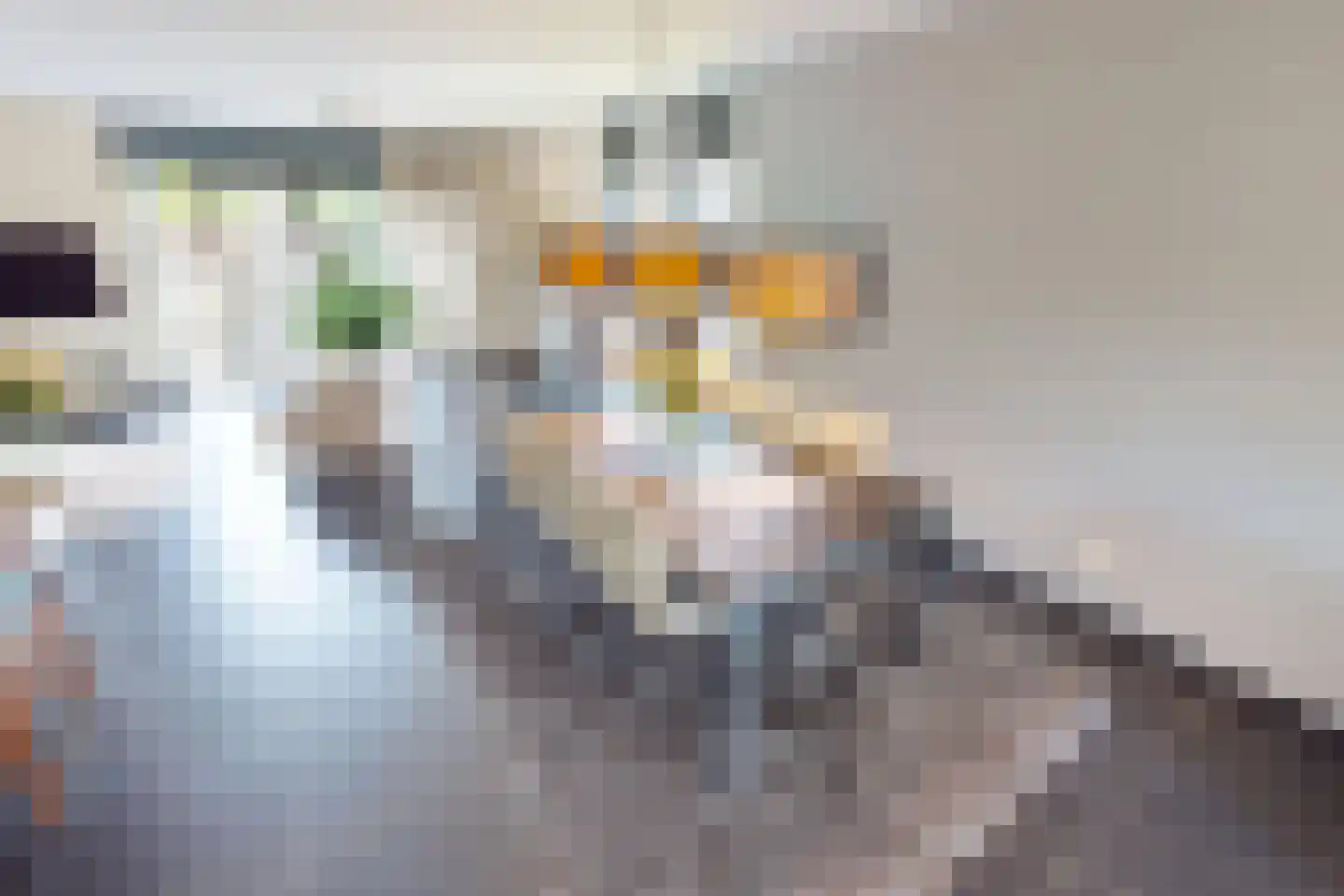 Villa Dotterbloem 19 Waalwijk thumbnail 24