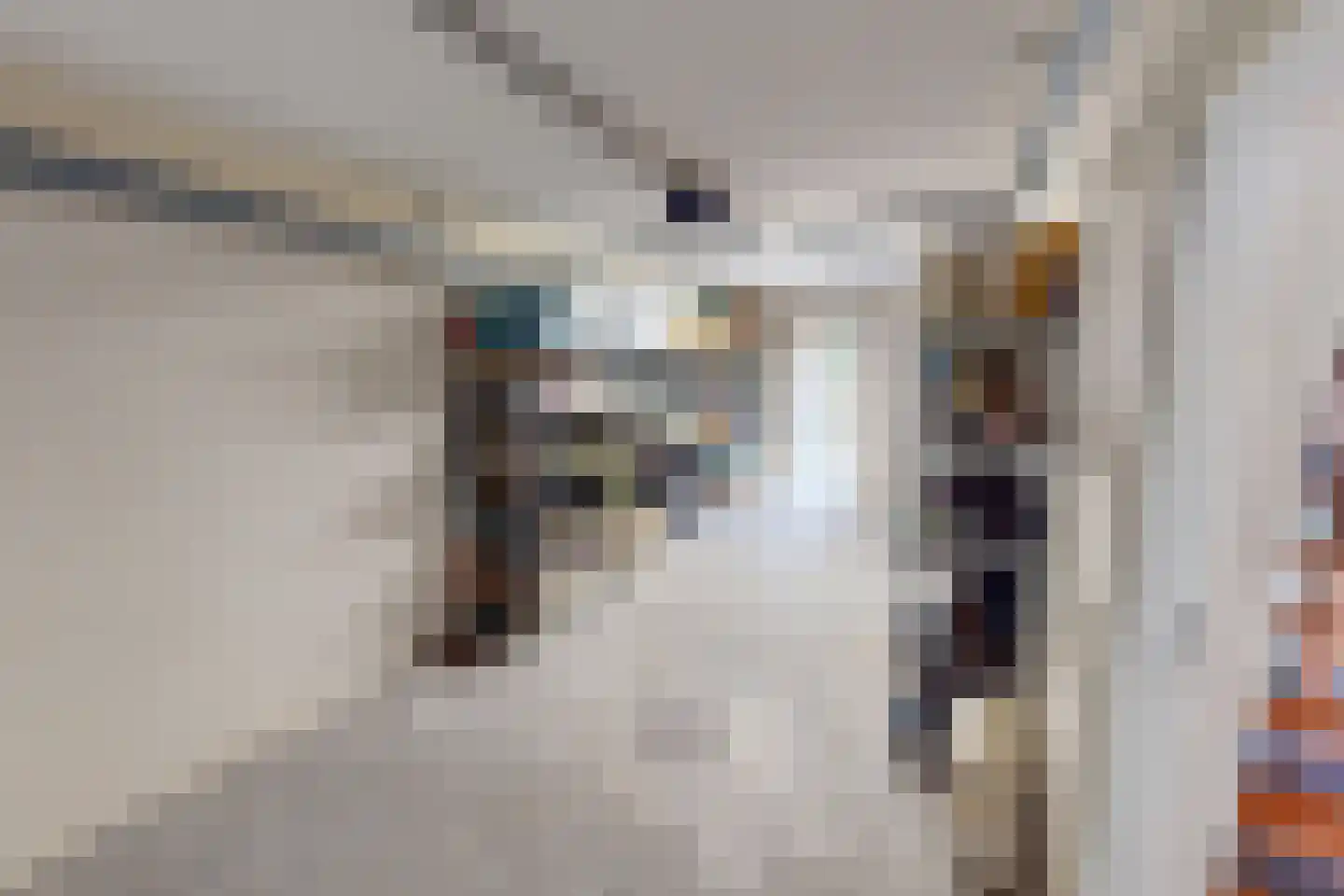 Villa Dotterbloem 19 Waalwijk thumbnail 32