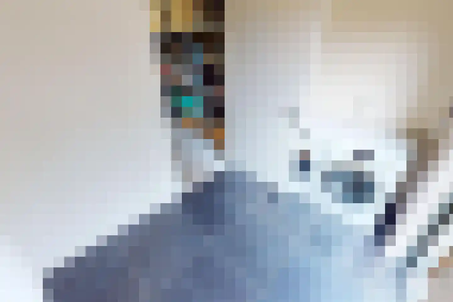 Villa Dotterbloem 19 Waalwijk thumbnail 36