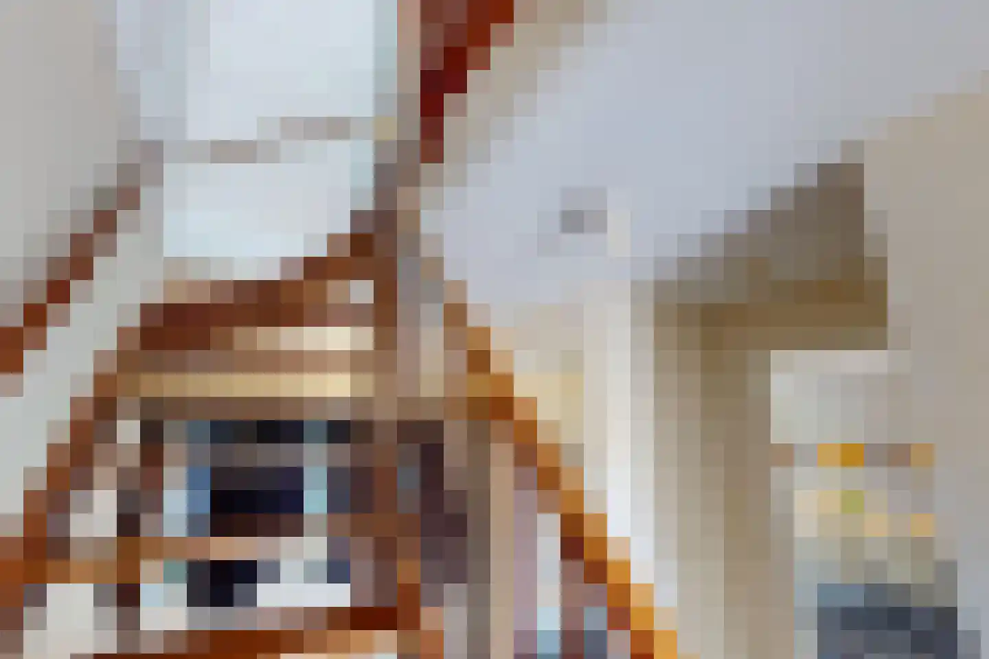 Villa Dotterbloem 19 Waalwijk thumbnail 38
