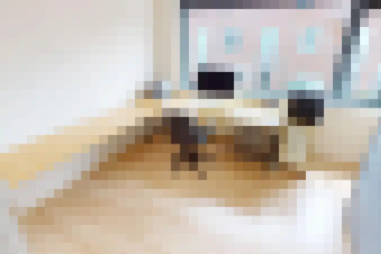 Villa Dotterbloem 19 Waalwijk thumbnail 44