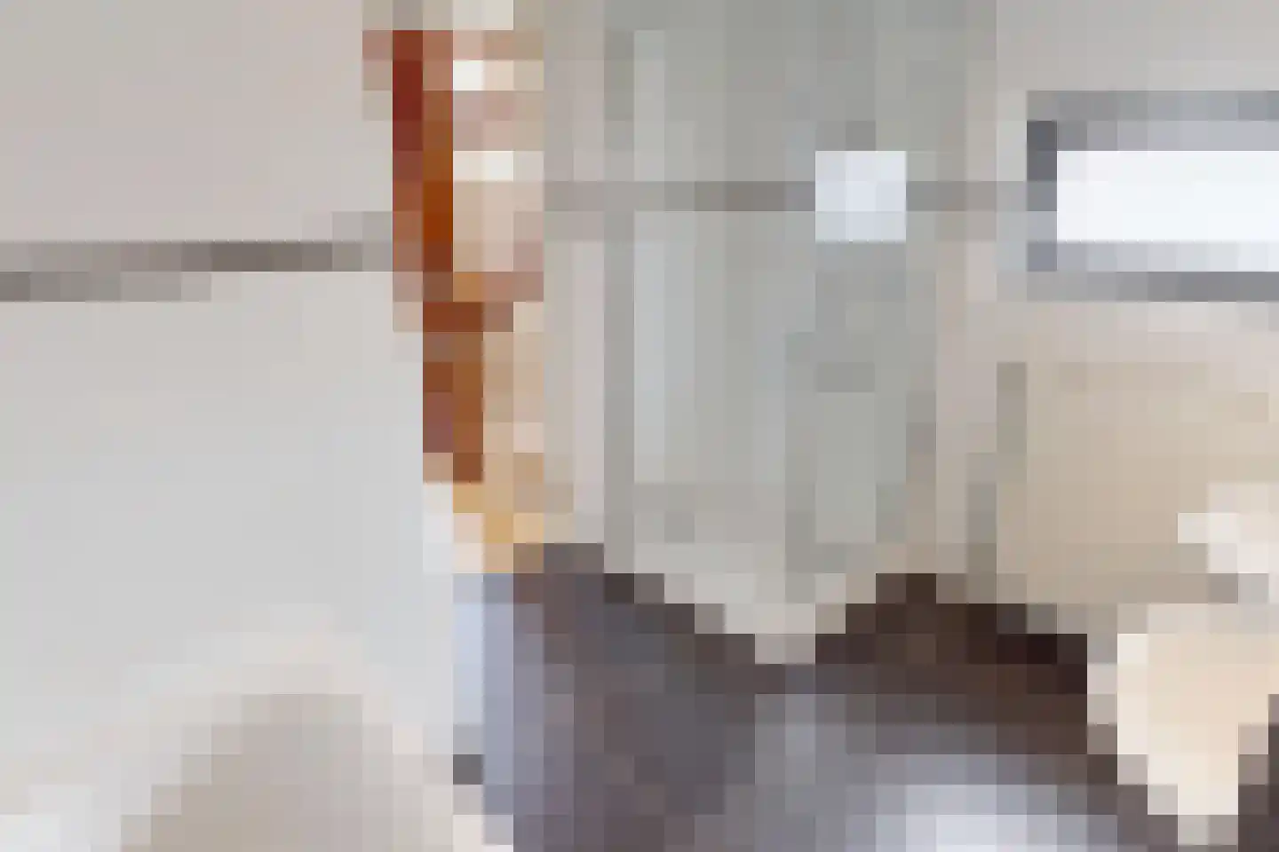 Villa Dotterbloem 19 Waalwijk thumbnail 57