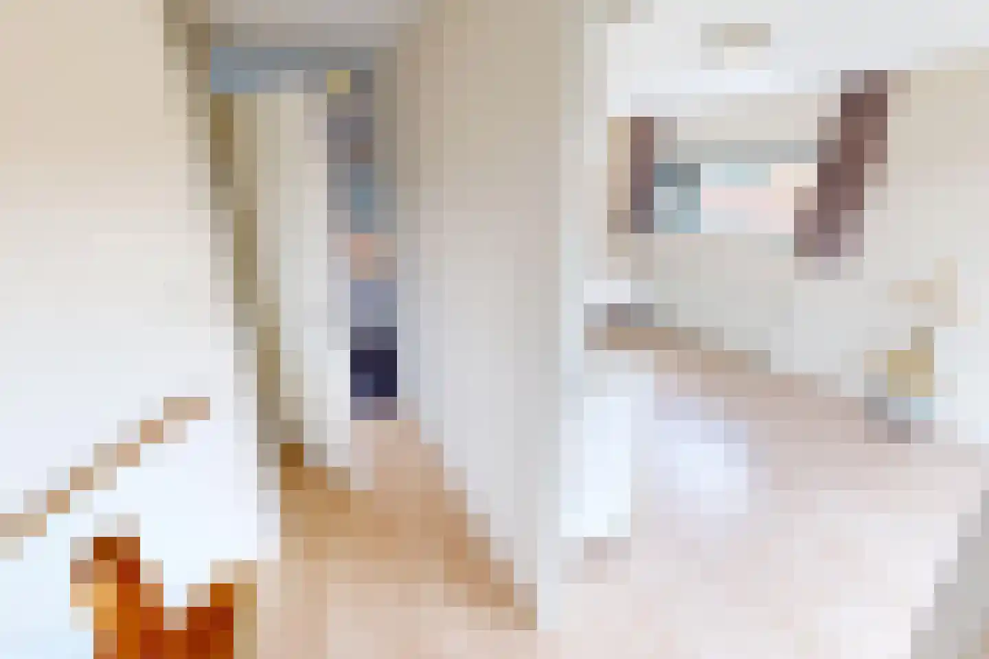 Villa Dotterbloem 19 Waalwijk thumbnail 62