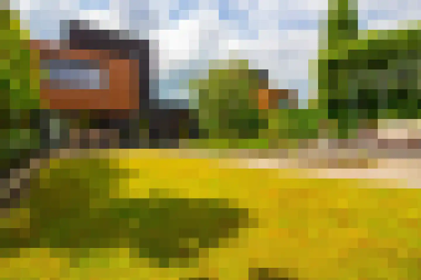 Villa Dotterbloem 19 Waalwijk thumbnail 71
