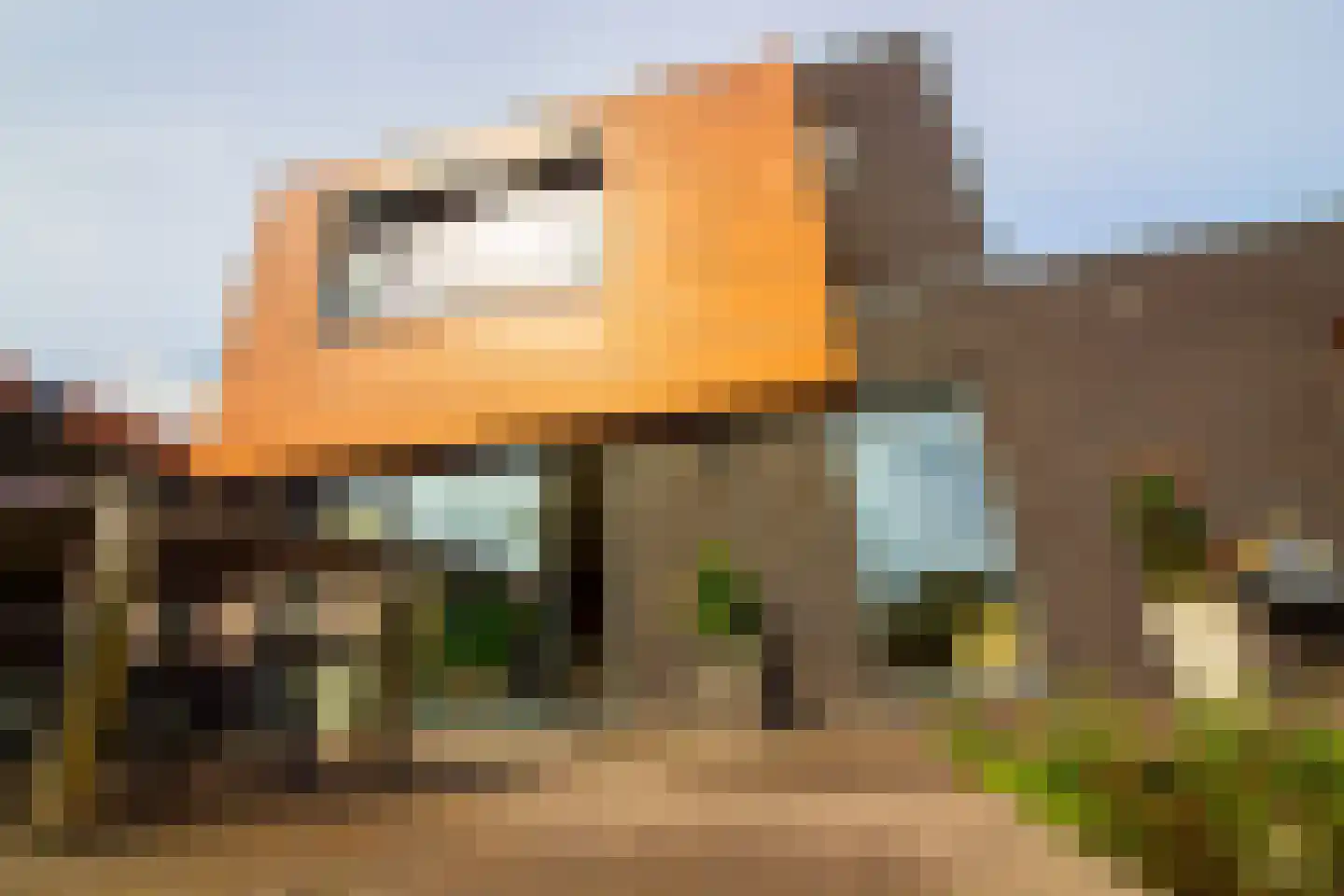 Villa Dotterbloem 19 Waalwijk thumbnail 75