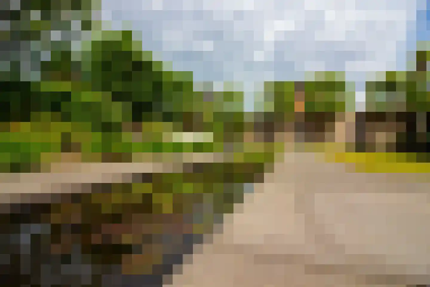Villa Dotterbloem 19 Waalwijk thumbnail 76