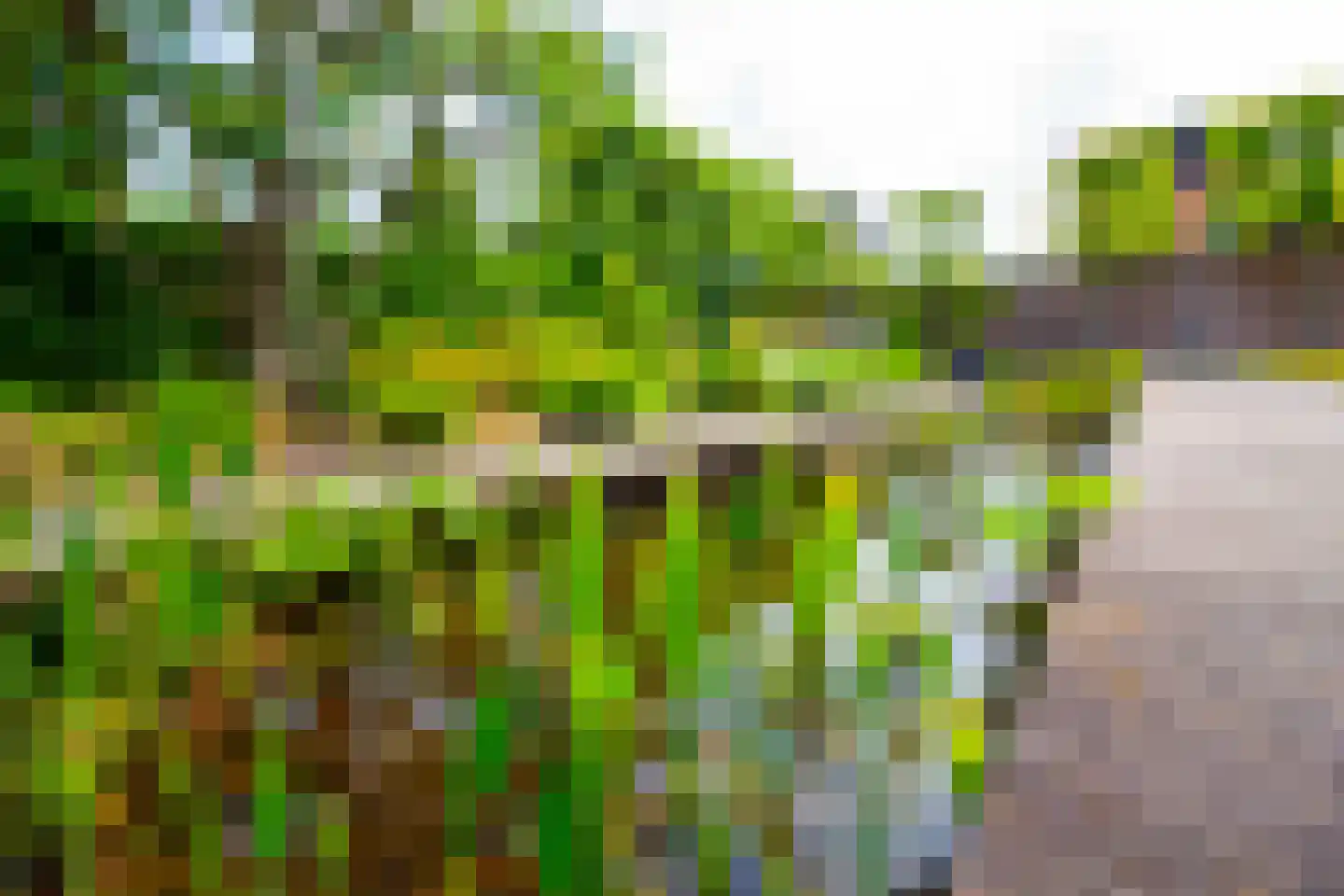 Villa Dotterbloem 19 Waalwijk thumbnail 77
