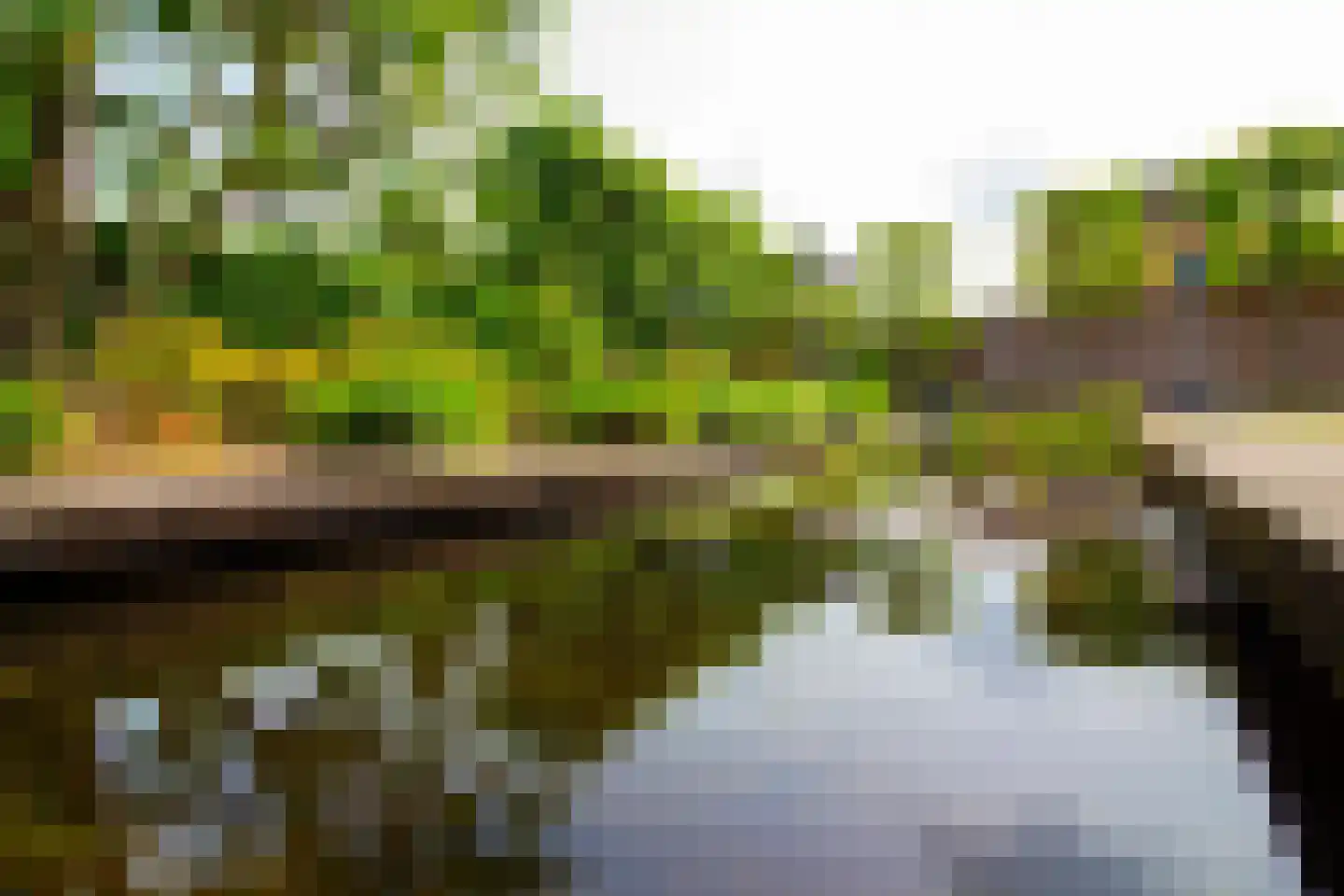 Villa Dotterbloem 19 Waalwijk thumbnail 78