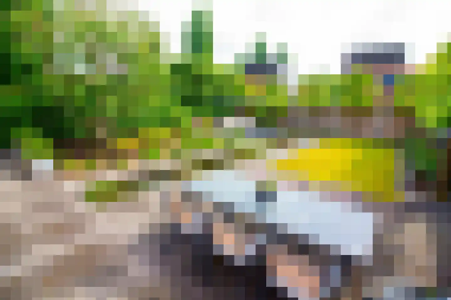 Villa Dotterbloem 19 Waalwijk thumbnail 80