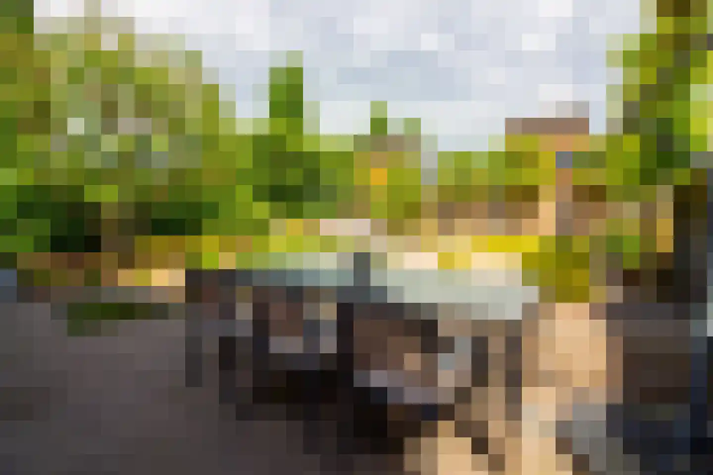 Villa Dotterbloem 19 Waalwijk thumbnail 81