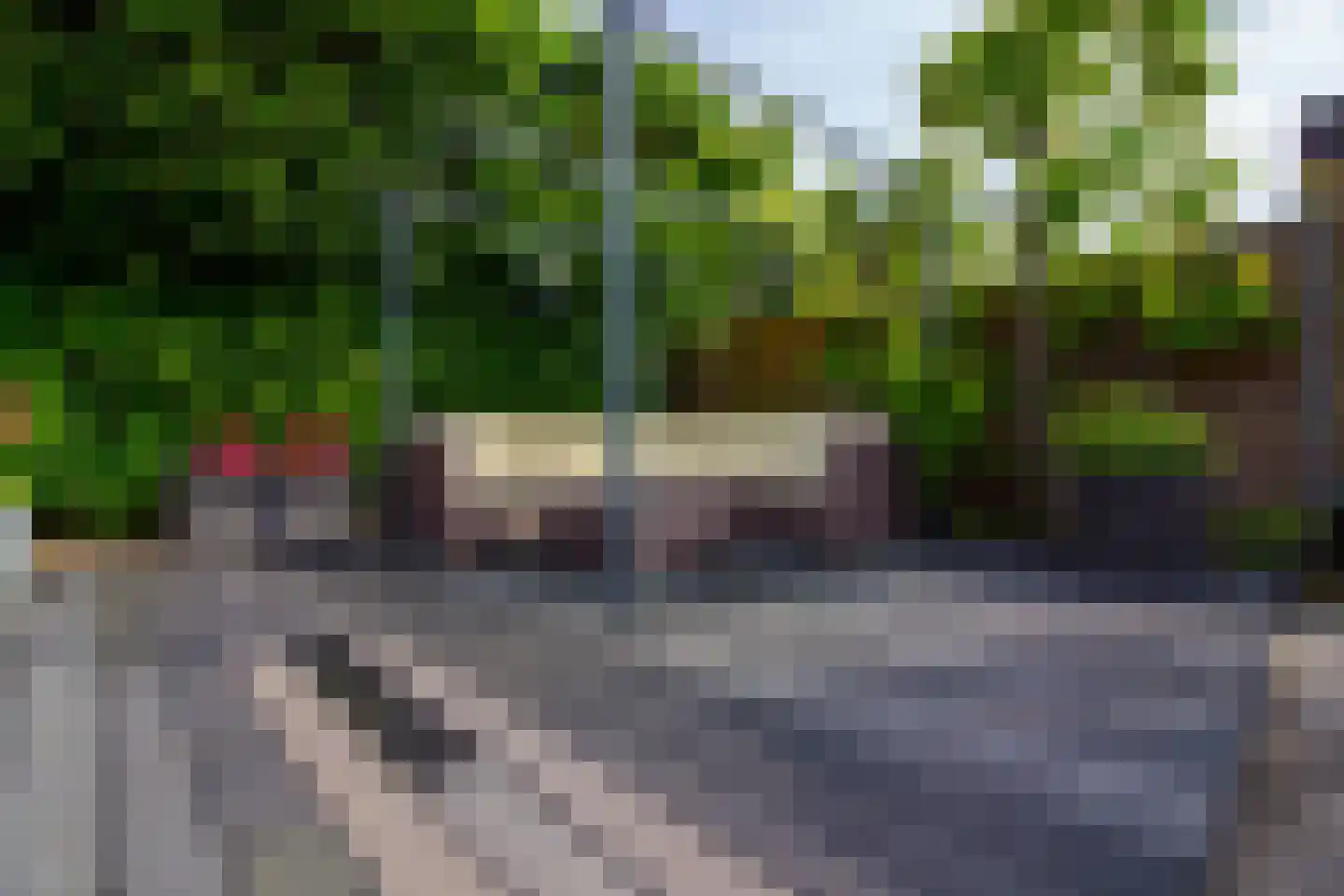 Villa Dotterbloem 19 Waalwijk thumbnail 83