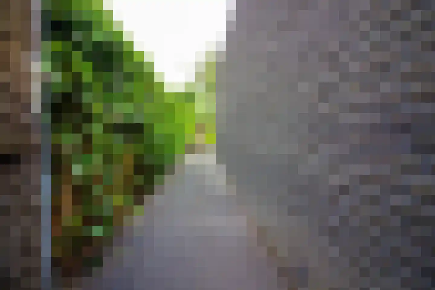 Villa Dotterbloem 19 Waalwijk thumbnail 90
