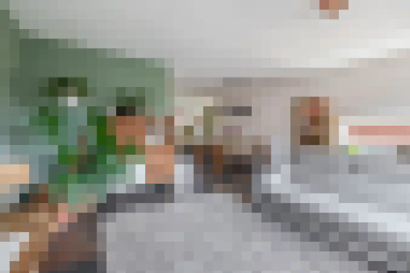 Villa Dotterbloem 24 Waalwijk thumbnail 10