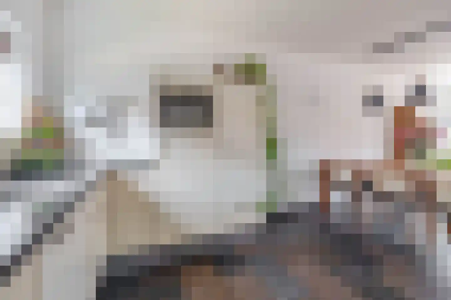 Villa Dotterbloem 24 Waalwijk thumbnail 16
