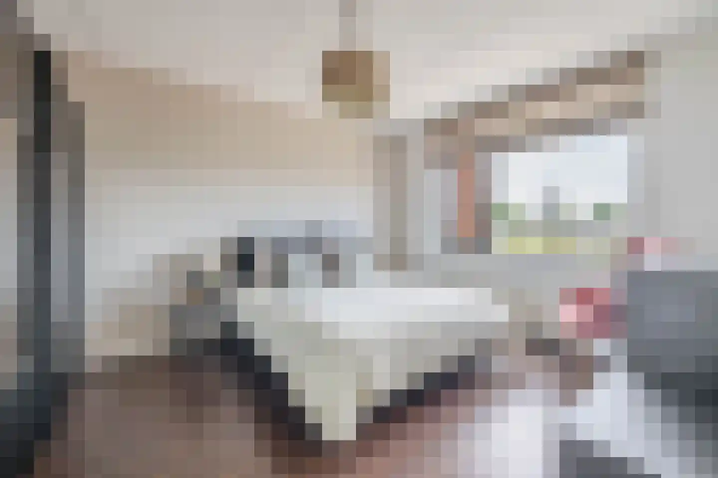 Villa Dotterbloem 24 Waalwijk thumbnail 20