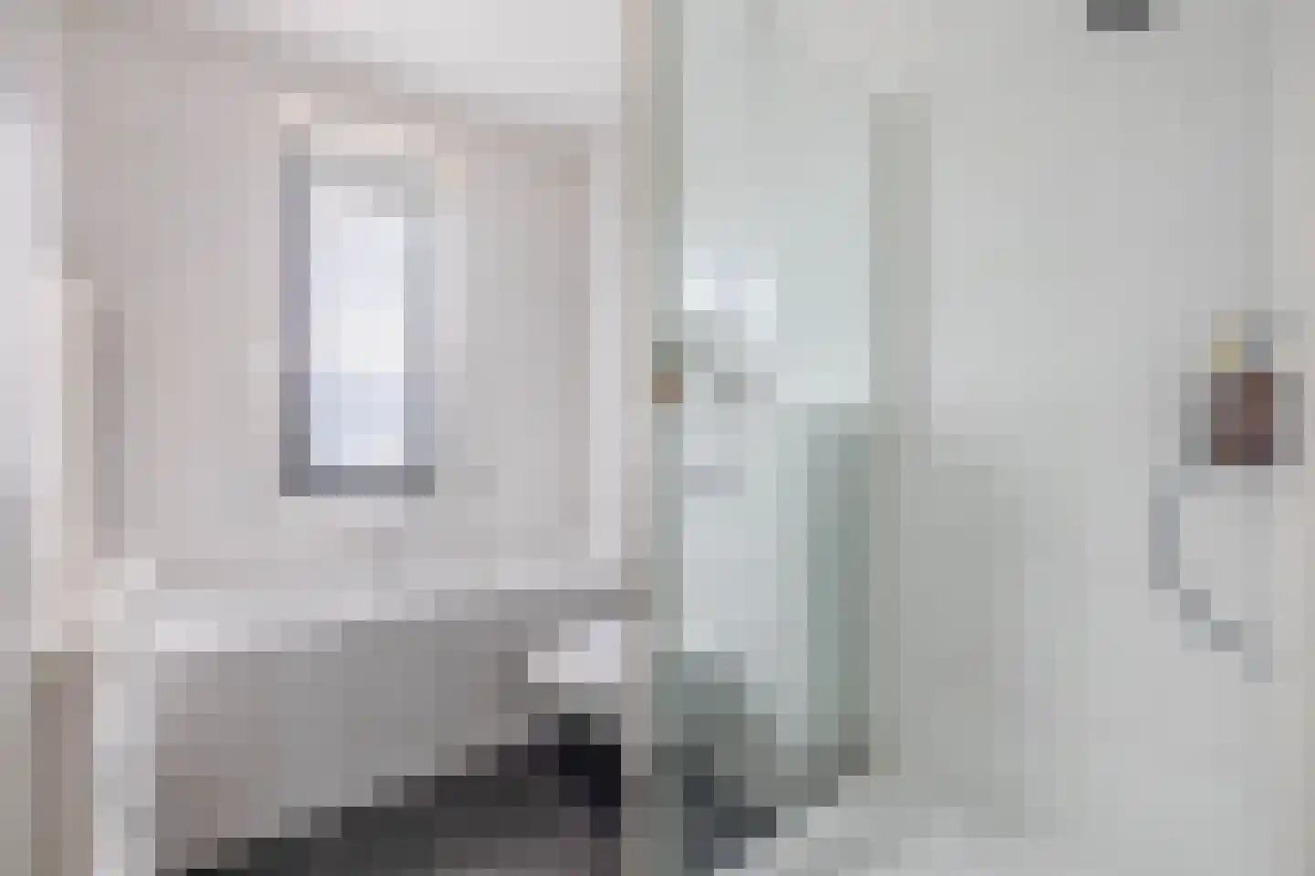 Villa Dotterbloem 24 Waalwijk thumbnail 23