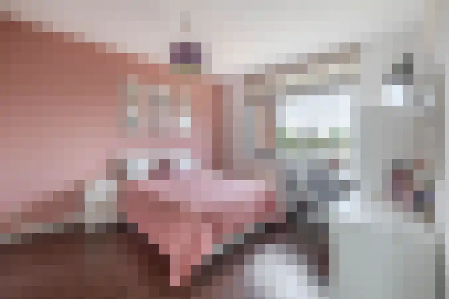 Villa Dotterbloem 24 Waalwijk thumbnail 25