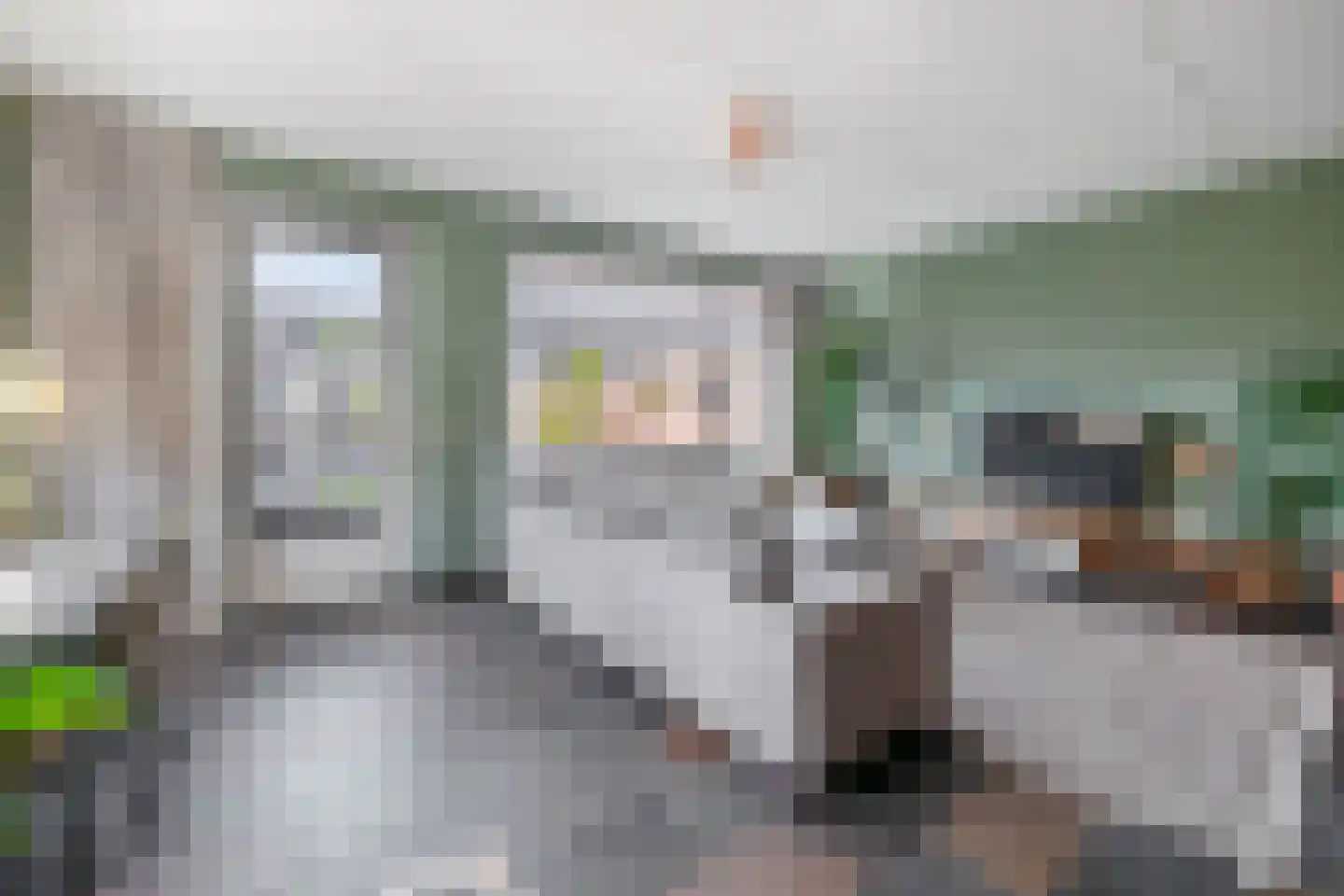 Villa Dotterbloem 24 Waalwijk thumbnail 8