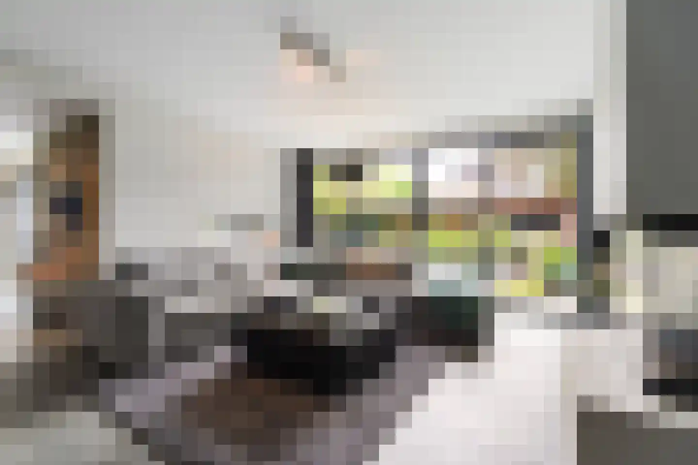 Villa Dotterbloem 25 Waalwijk thumbnail 11