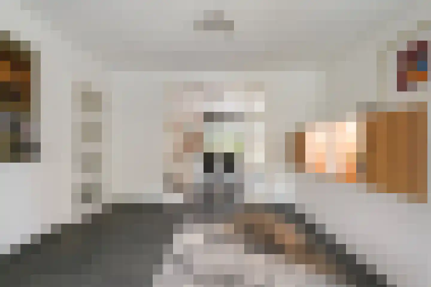 Villa Dotterbloem 25 Waalwijk thumbnail 16