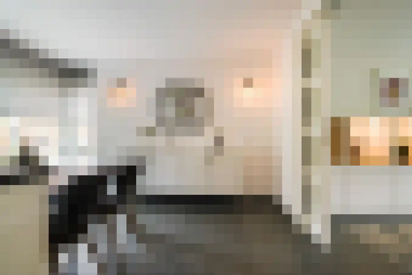 Villa Dotterbloem 25 Waalwijk thumbnail 18