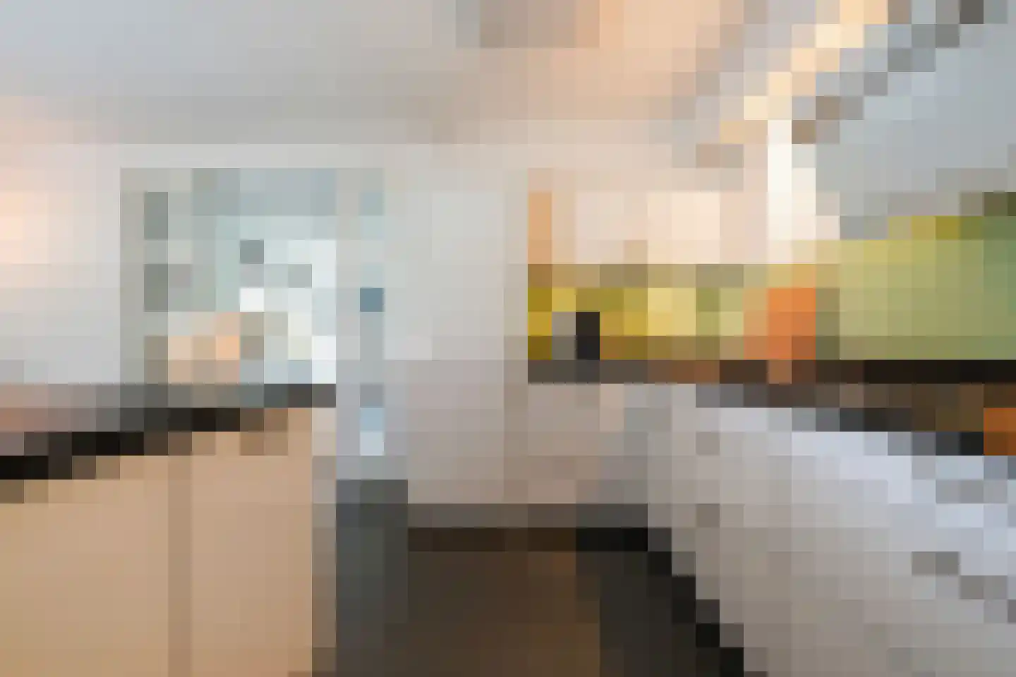 Villa Dotterbloem 25 Waalwijk thumbnail 21