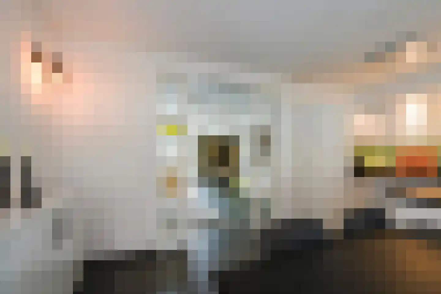 Villa Dotterbloem 25 Waalwijk thumbnail 22