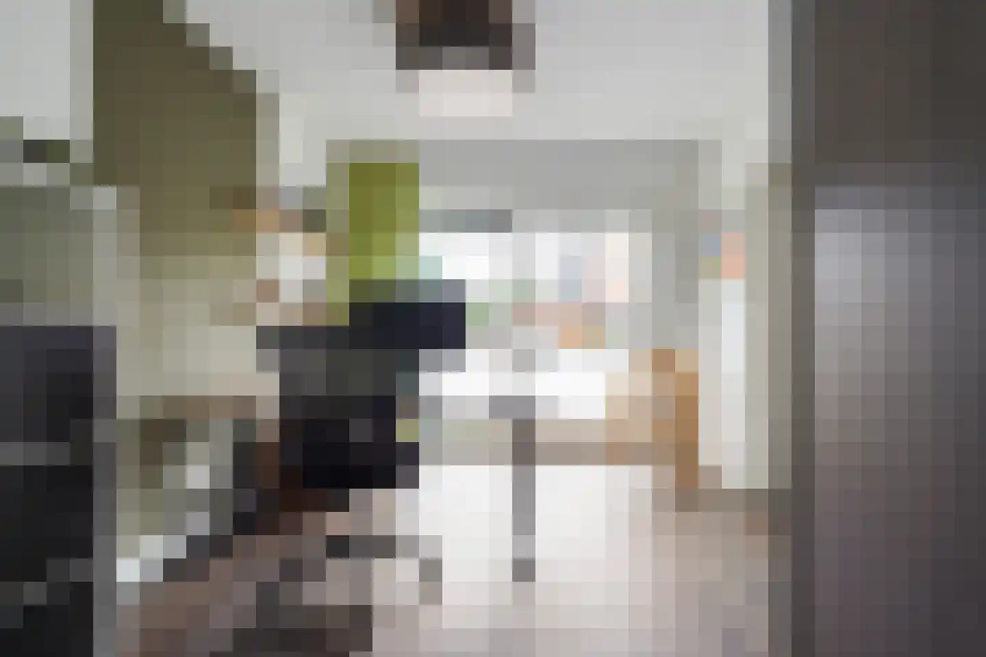 Villa Dotterbloem 25 Waalwijk thumbnail 25