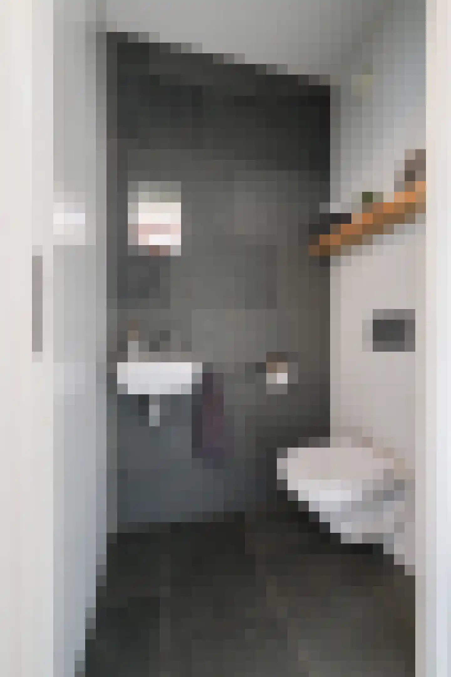 Villa Dotterbloem 25 Waalwijk thumbnail 28