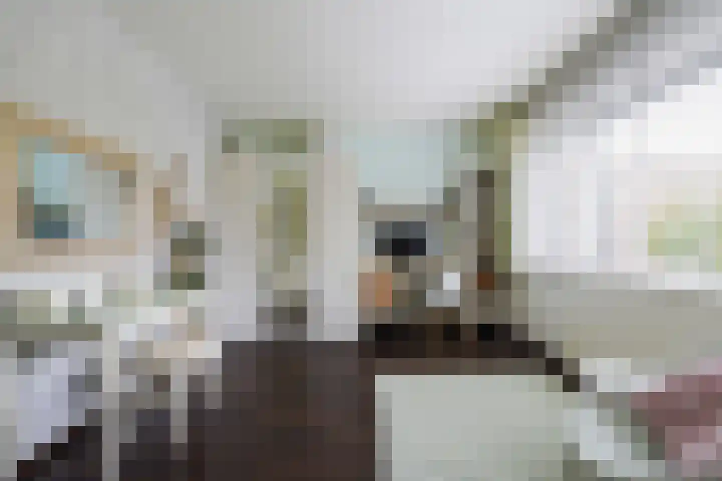 Villa Dotterbloem 25 Waalwijk thumbnail 33