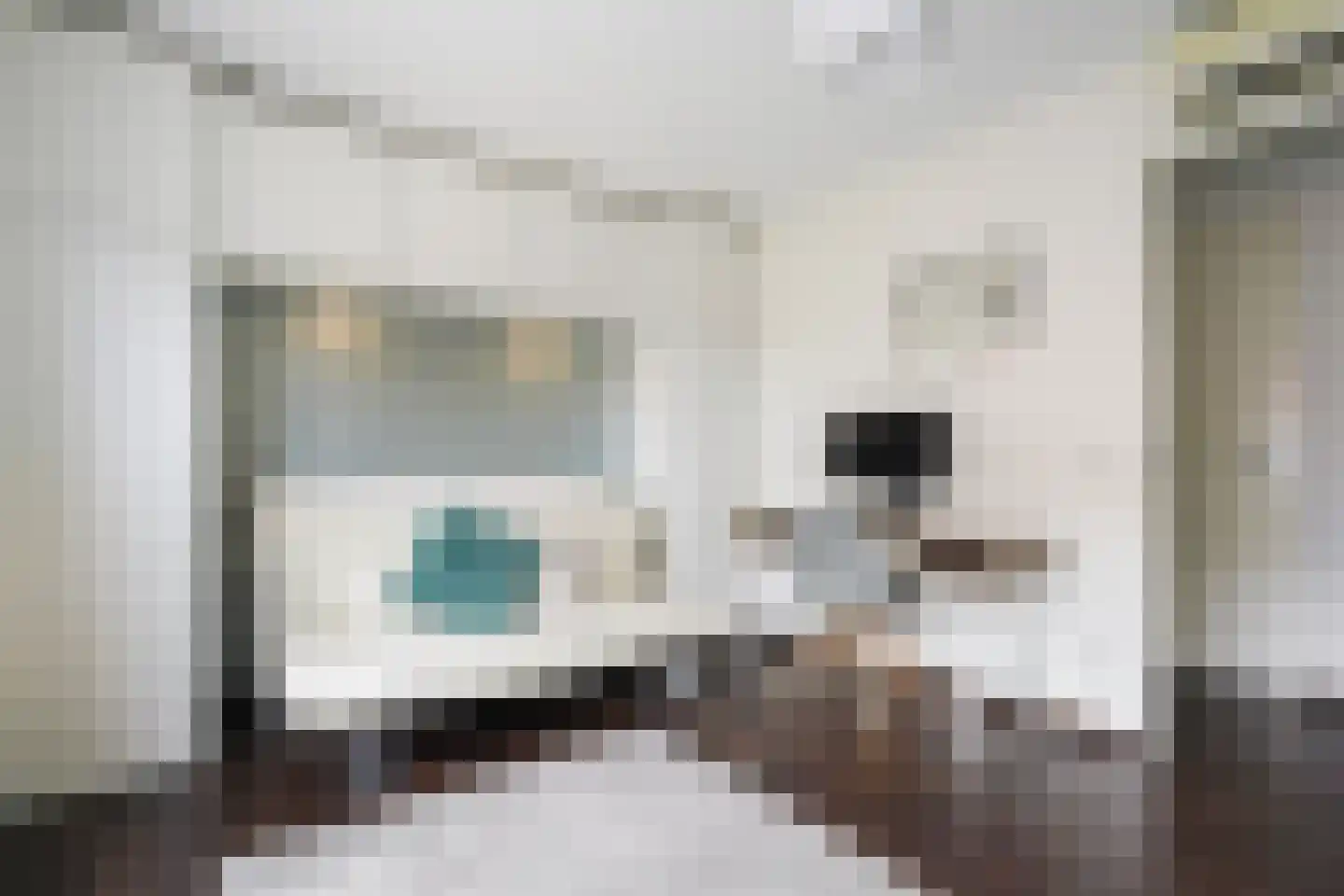Villa Dotterbloem 25 Waalwijk thumbnail 36