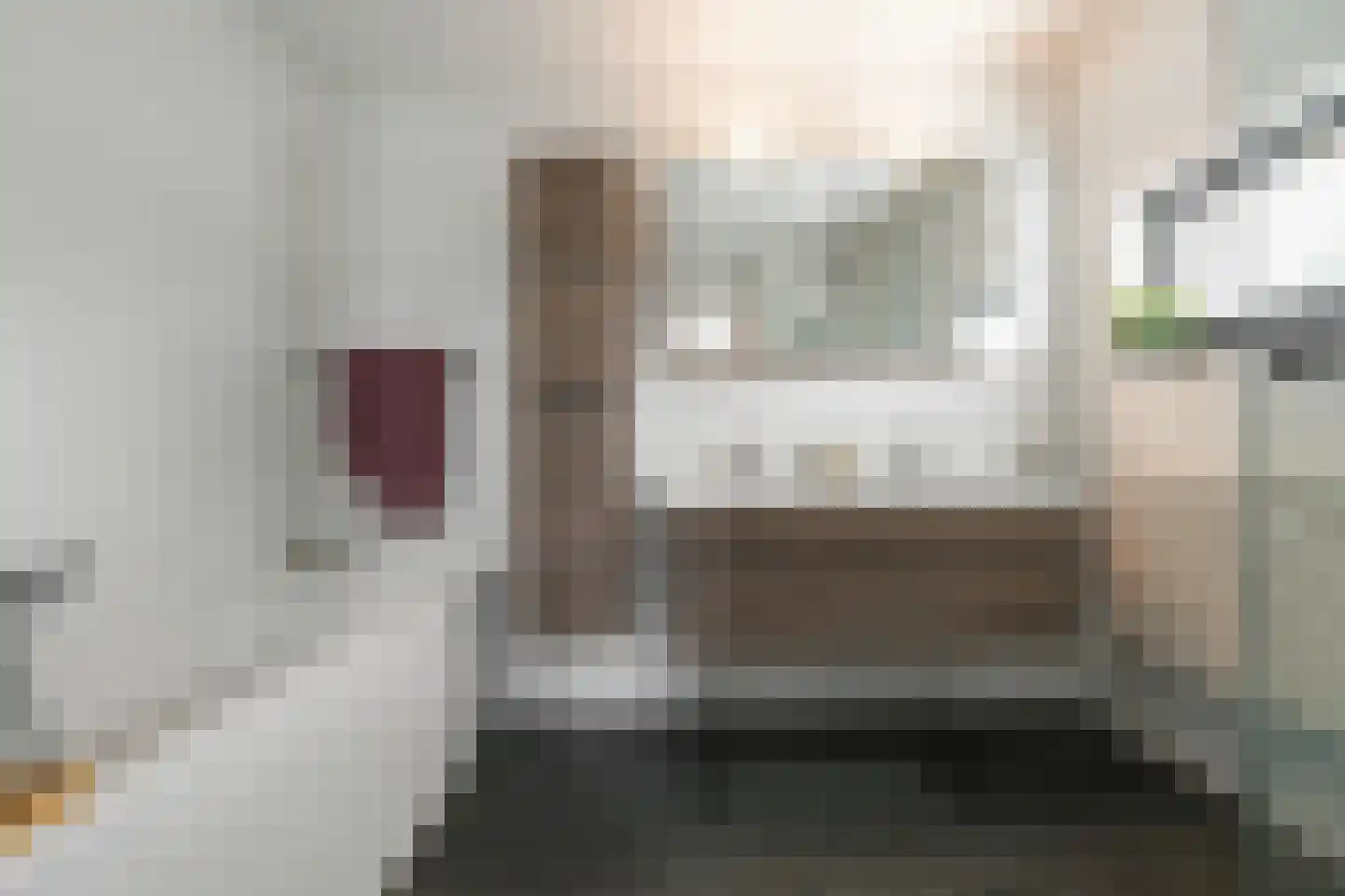 Villa Dotterbloem 25 Waalwijk thumbnail 37