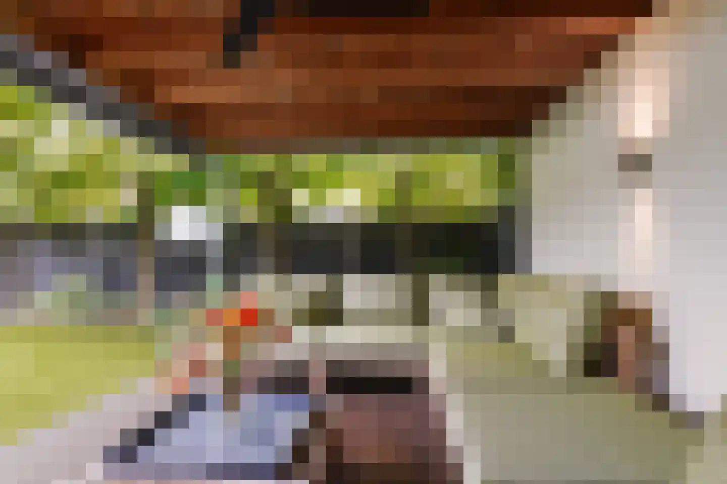 Villa Dotterbloem 25 Waalwijk thumbnail 4