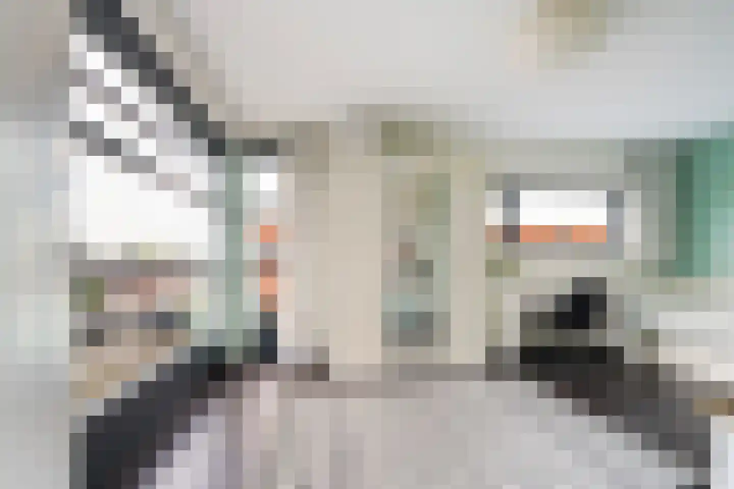Villa Dotterbloem 25 Waalwijk thumbnail 41
