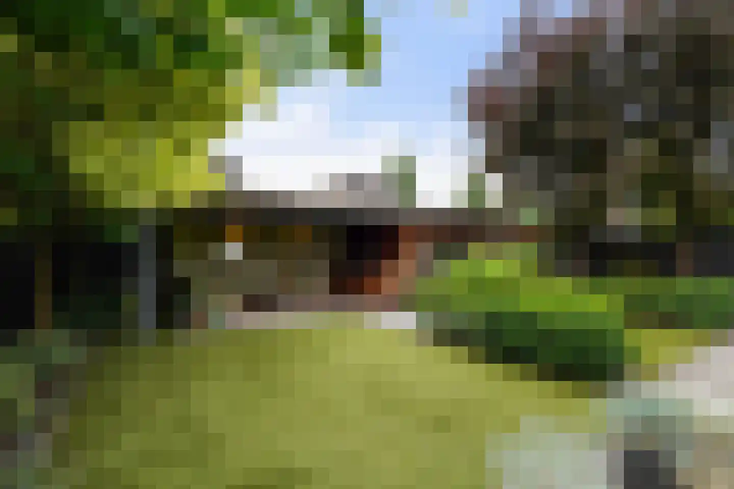 Villa Dotterbloem 25 Waalwijk thumbnail 49