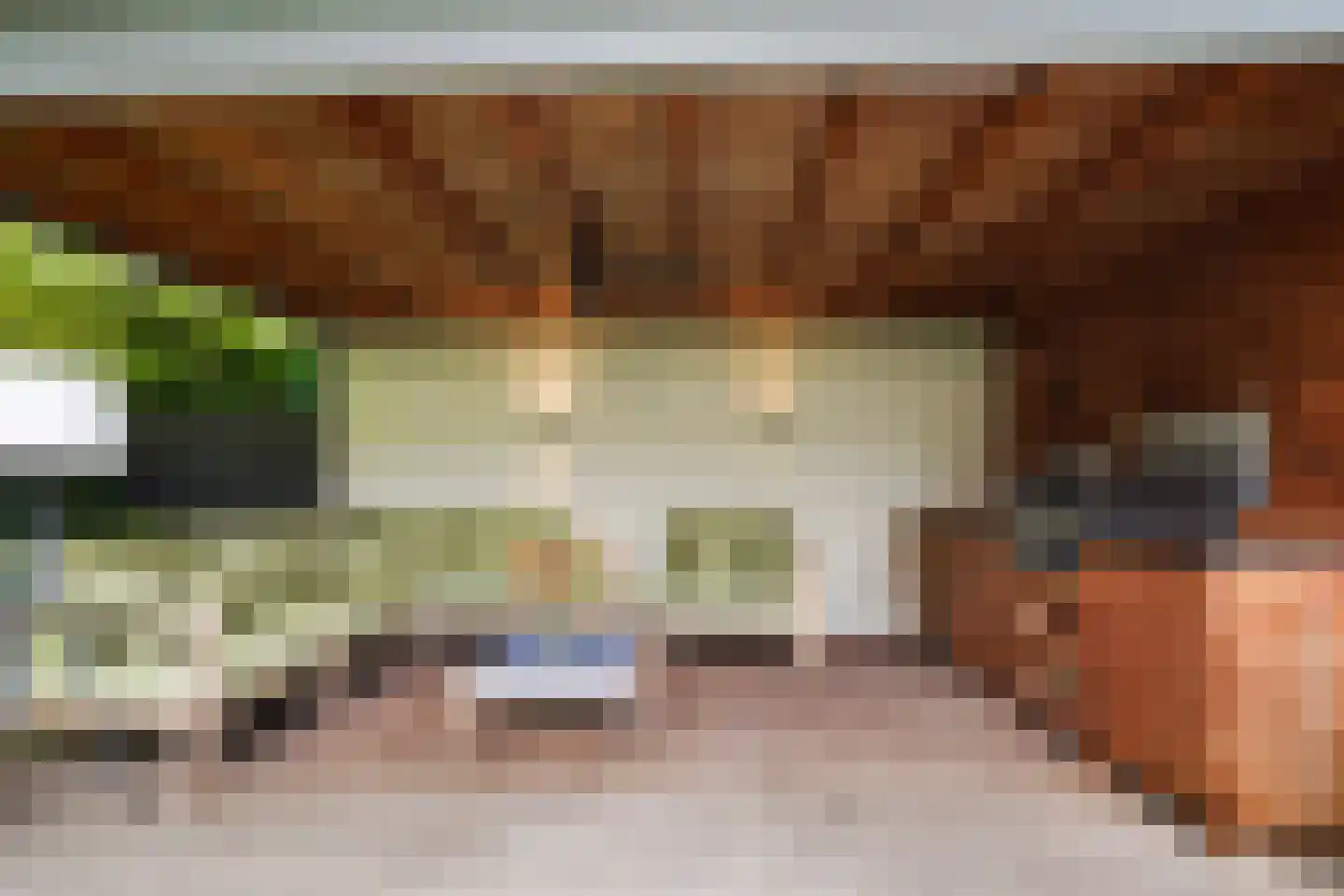 Villa Dotterbloem 25 Waalwijk thumbnail 50