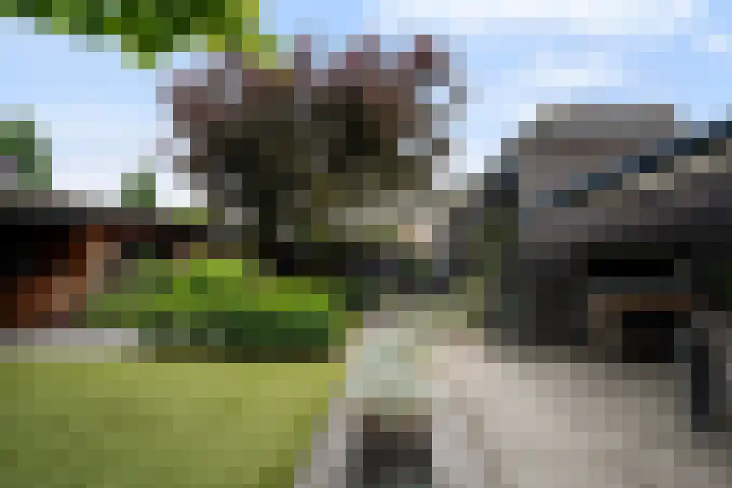 Villa Dotterbloem 25 Waalwijk thumbnail 52