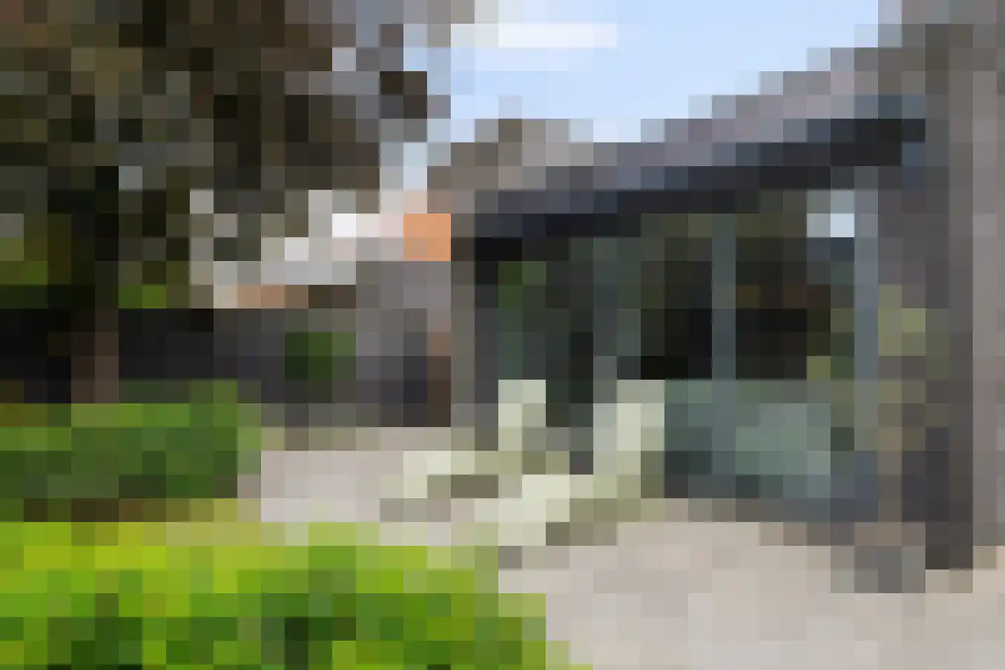 Villa Dotterbloem 25 Waalwijk thumbnail 53