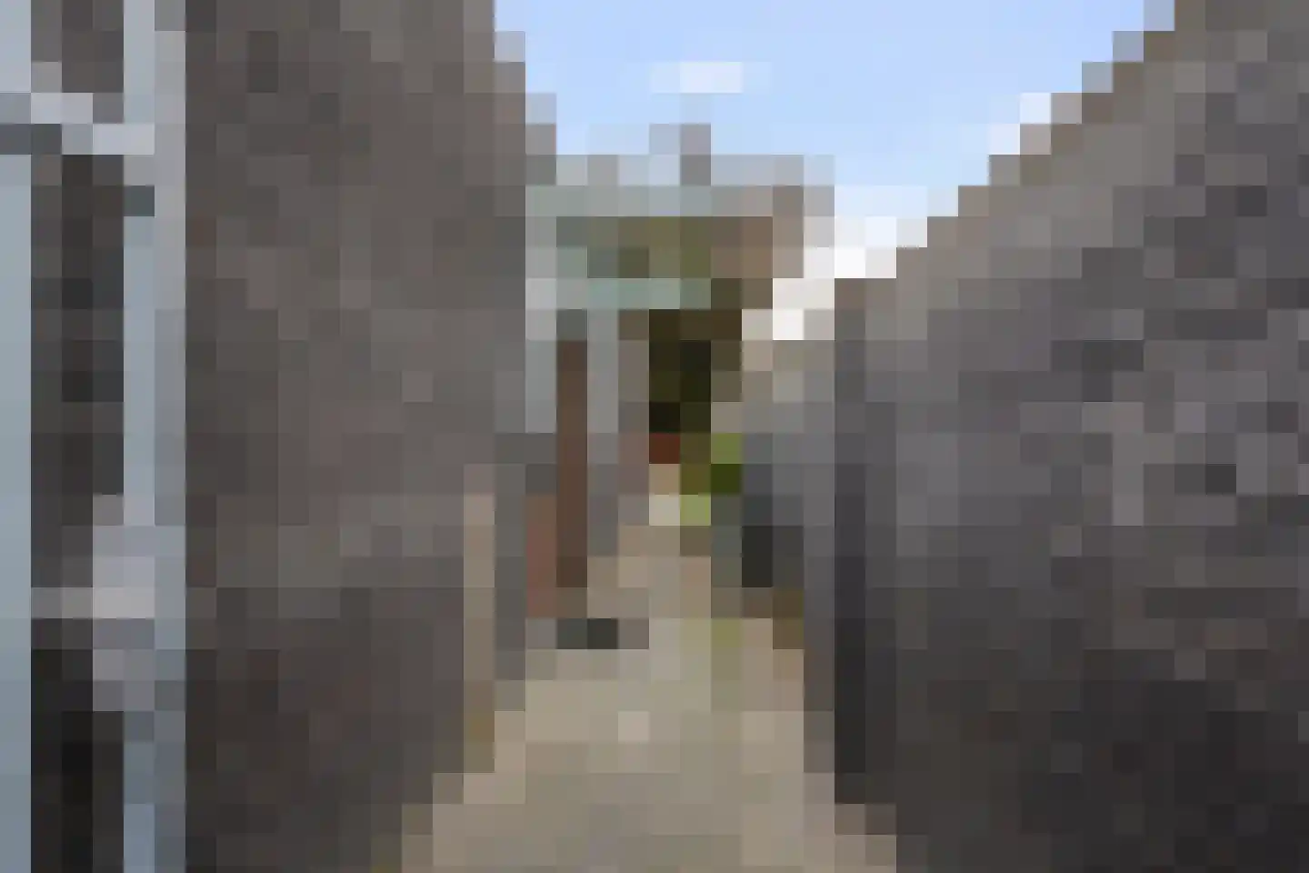 Villa Dotterbloem 25 Waalwijk thumbnail 54