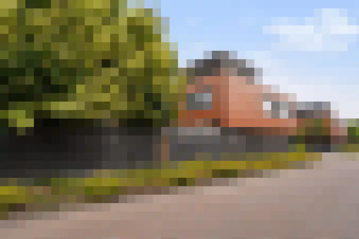 Villa Dotterbloem 25 Waalwijk thumbnail 55